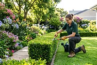 Gardening & Landscaping