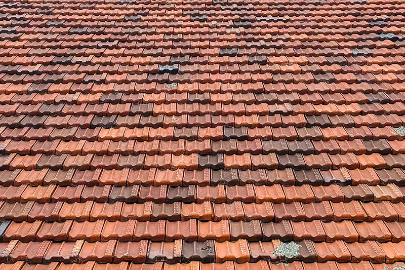 Roof Painting