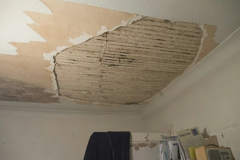 Ceiling Repair