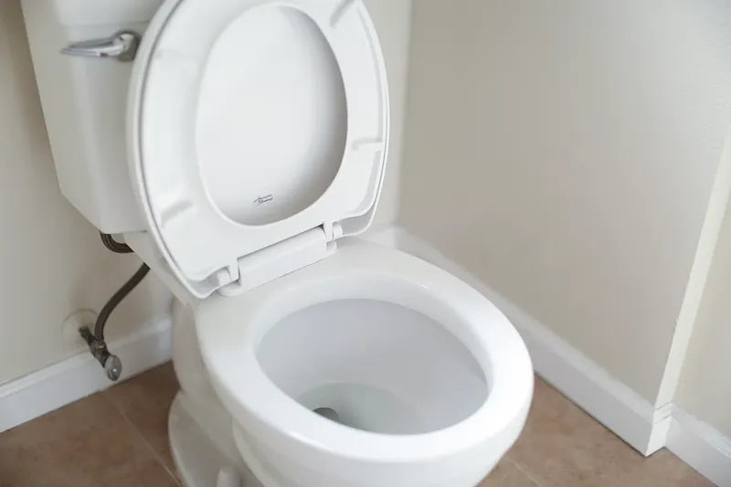 Toilet Repairs