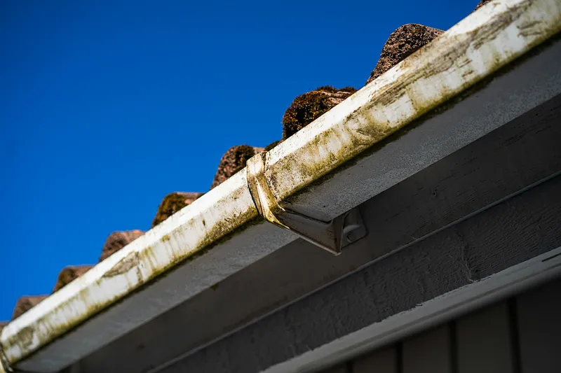 Fascia & Gutters